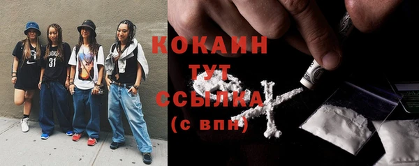 прущая мука Каменка