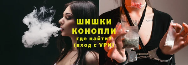 прущая мука Каменка