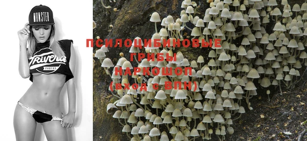 MESCALINE Каменногорск