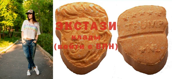 мет Инта