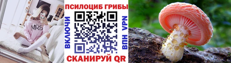 Купить  Олёкминск  Псилоцибиновые грибы Cubensis 